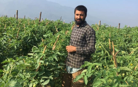 युद्धप्रसाद न्यौपाने